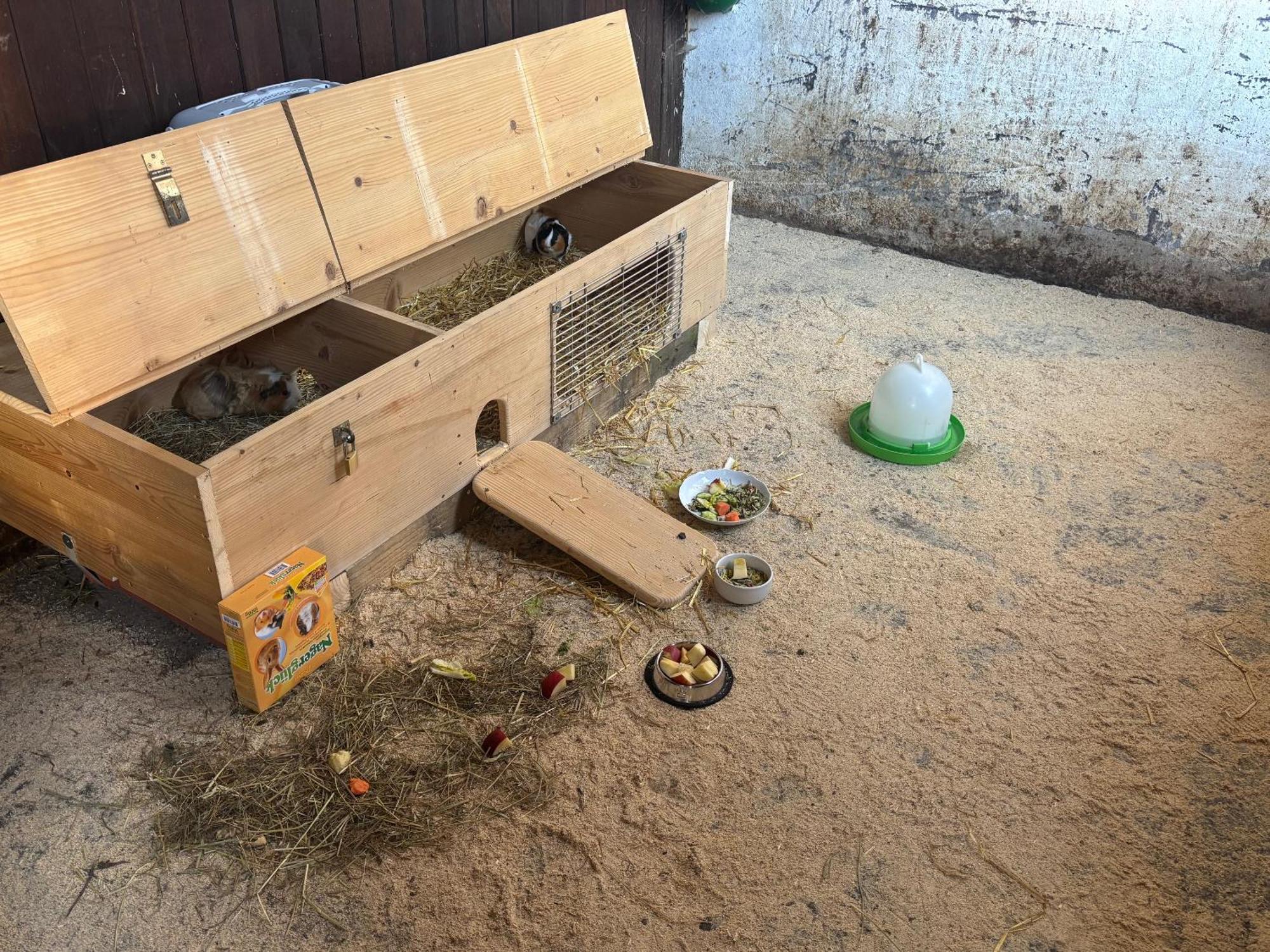 אלטיטינג Ferienhaus Spielburg מראה חיצוני תמונה